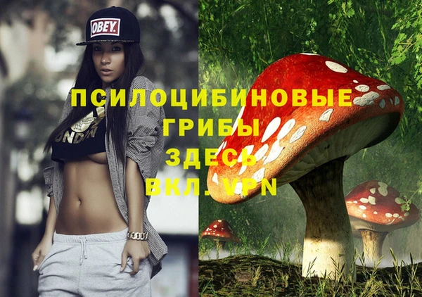 твердый Балабаново